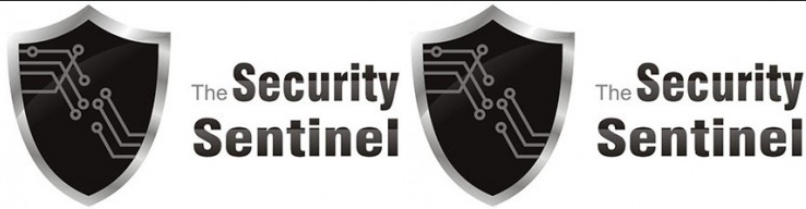 Curso de Hacking Ético en thesecuritysentinel.es